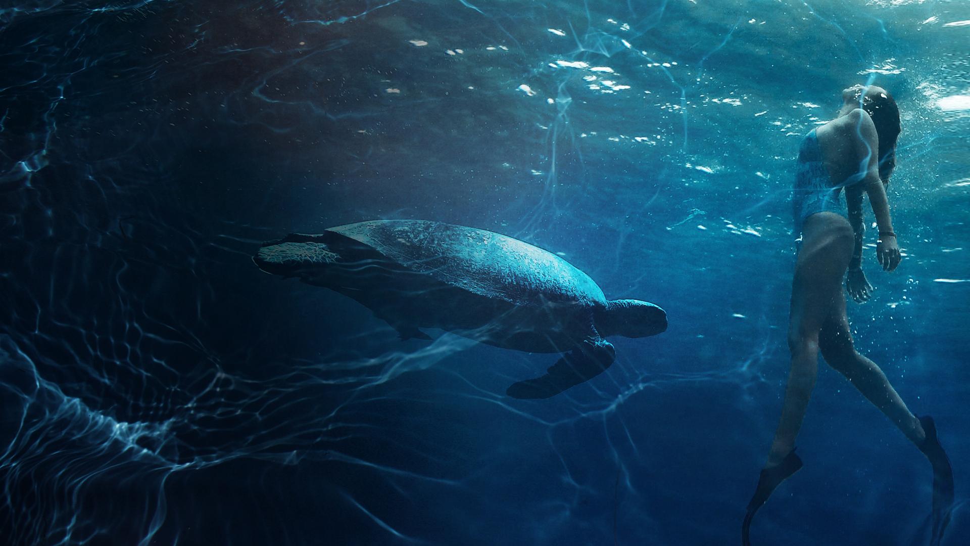 Ultimate Freedive: The Great Barrier Reef 4K
