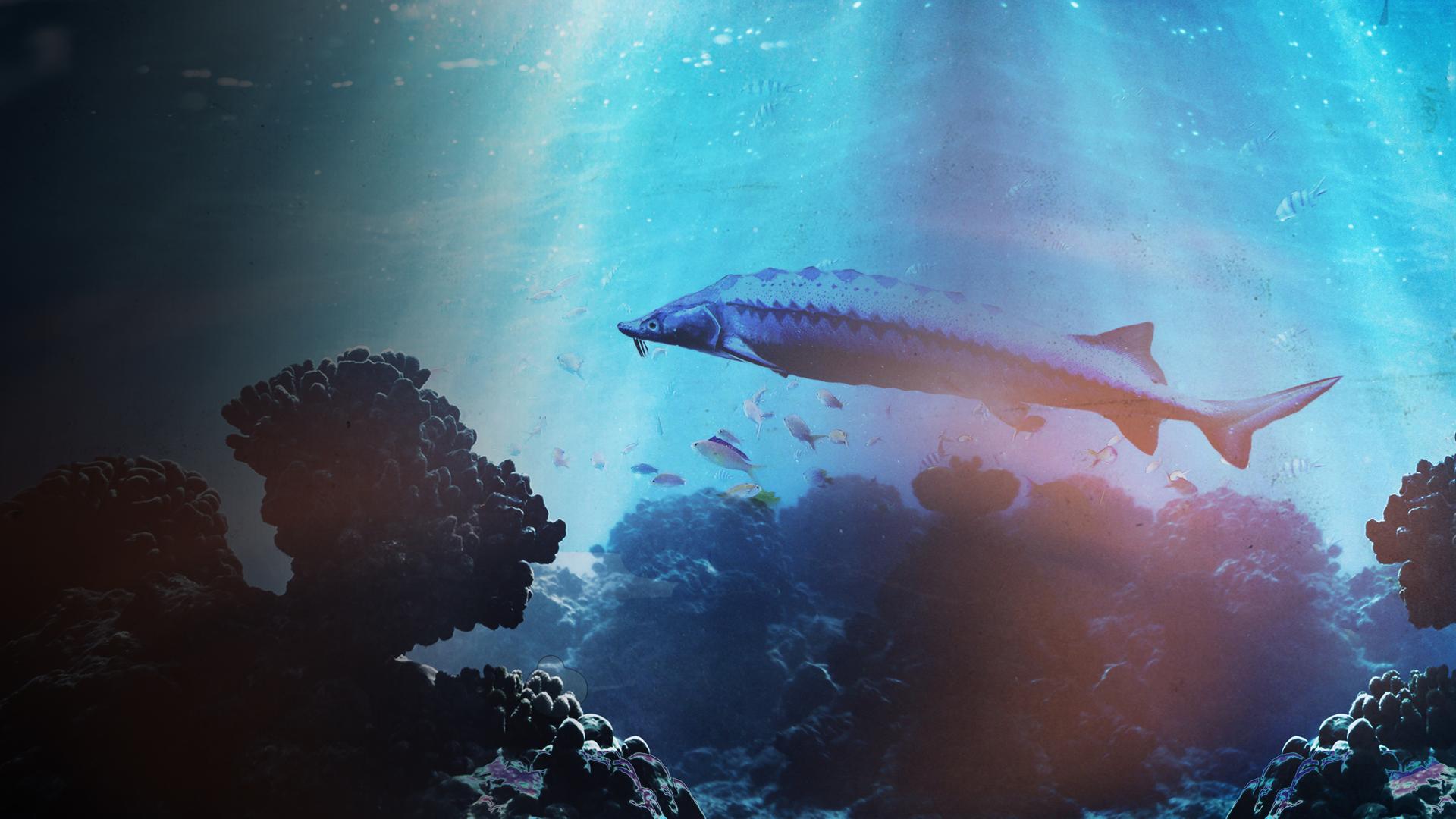 Saving the Dinosaur Fish