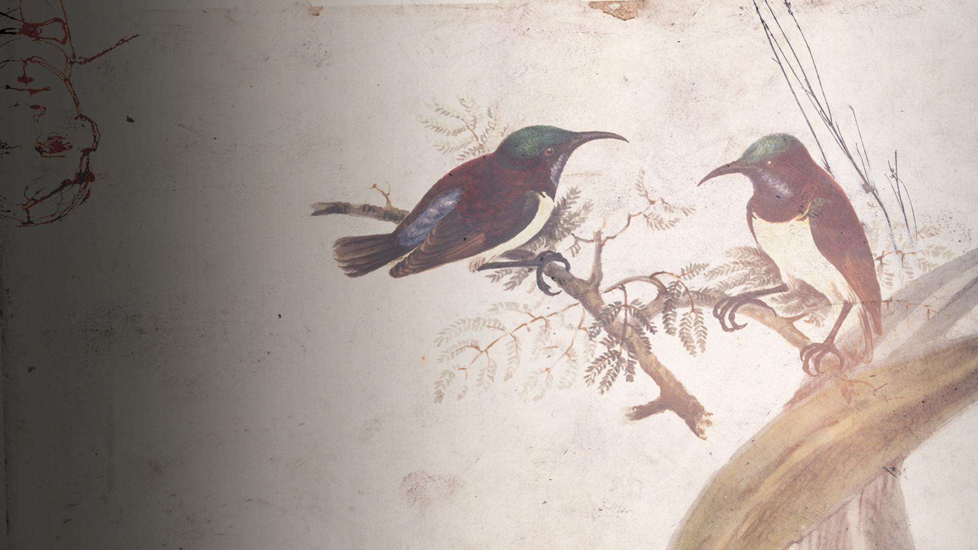 Unnatural Selection 4K