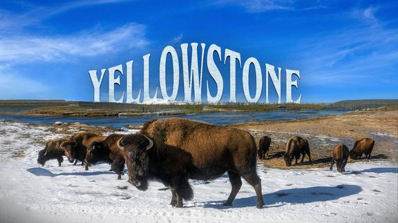 Yellowstone