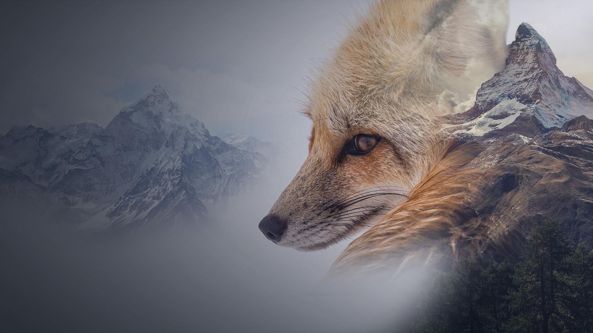 Best of Worlds: Life at its Alpine Limits