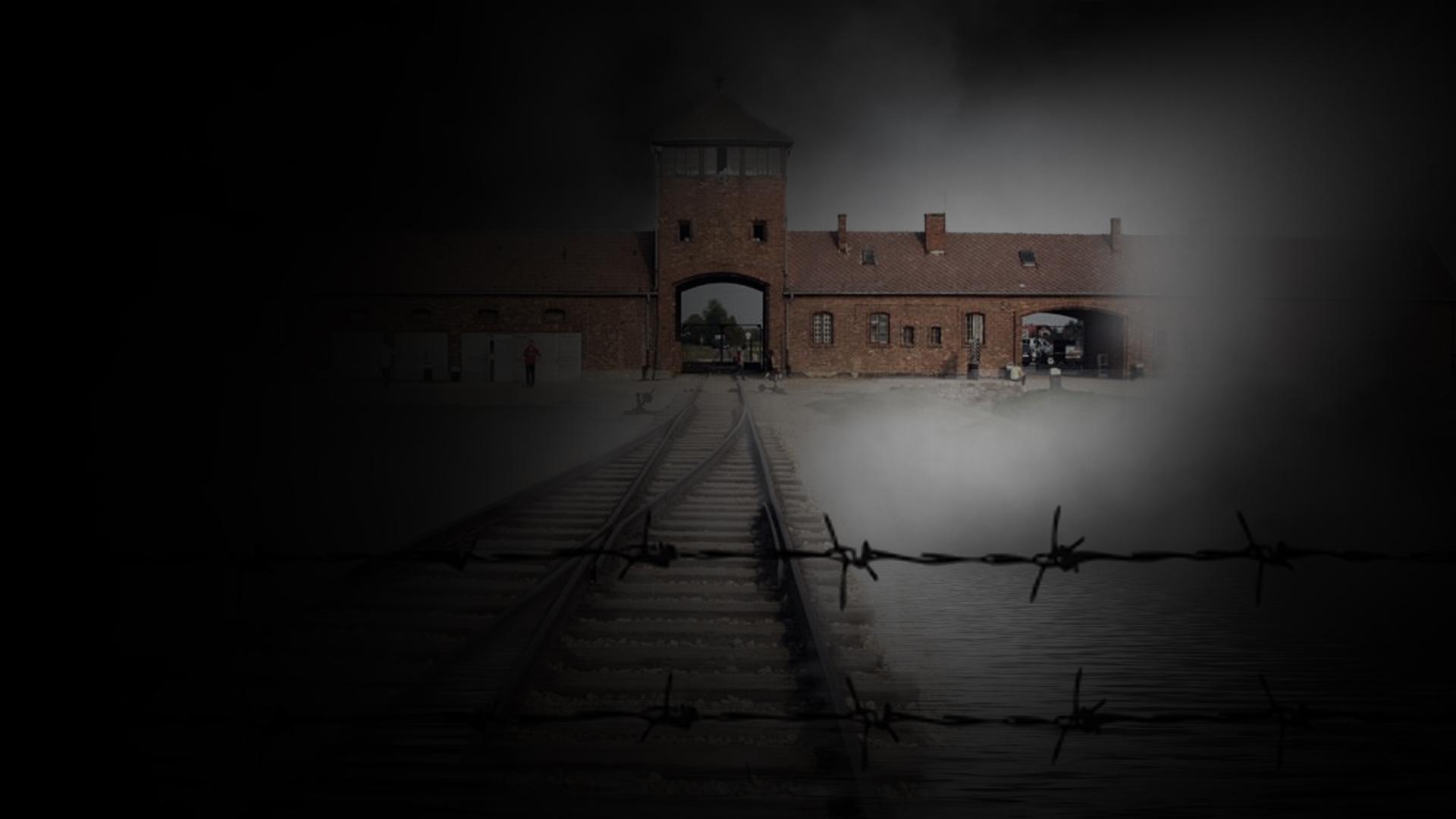 Swimming in Auschwitz