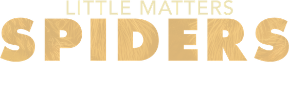 Little Matters: Spiders