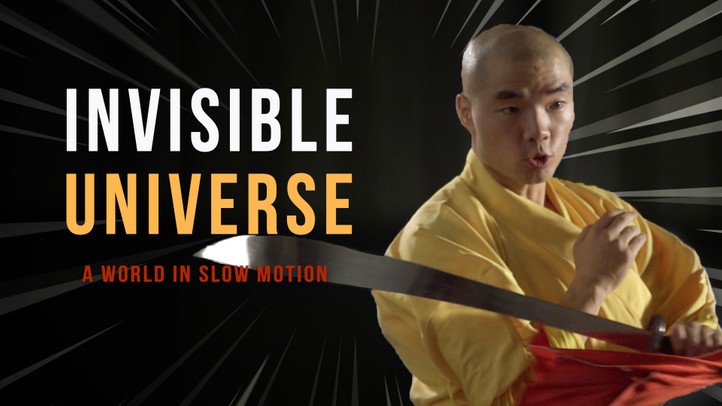 Invisible Universe: A World in Slow Motion