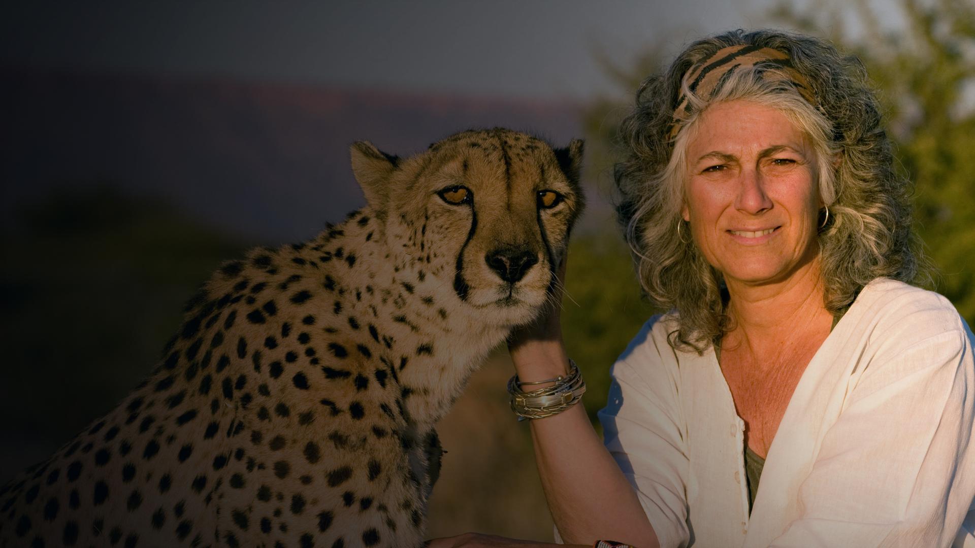 Lady Cheetah