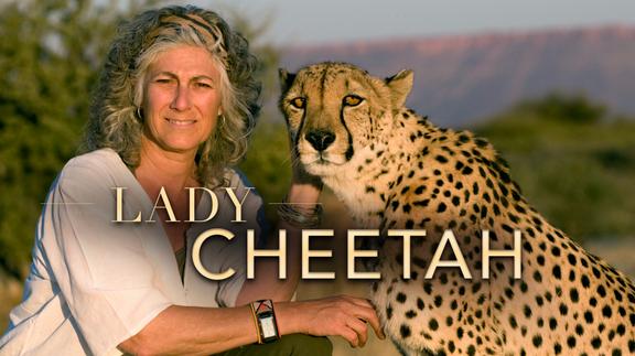 Lady Cheetah