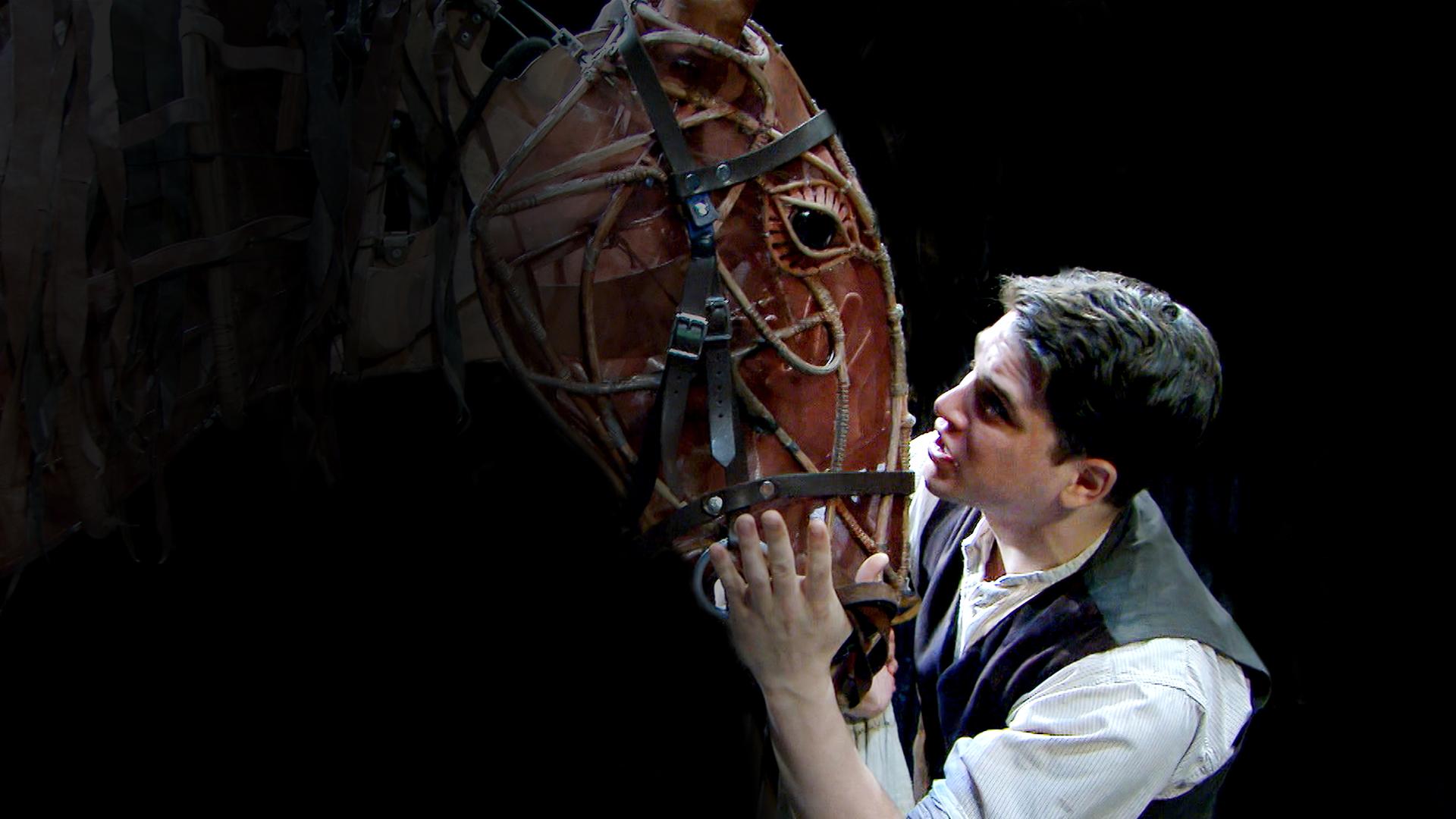 Making War Horse