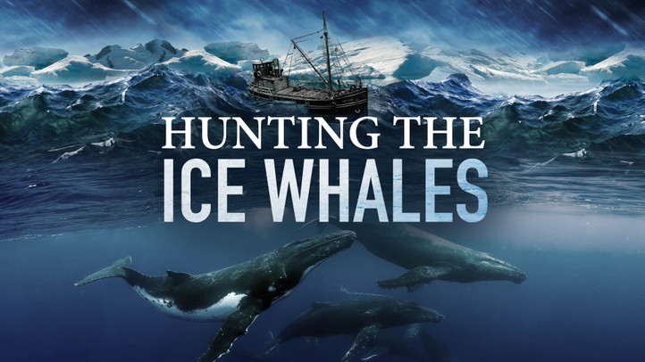 Hunting the Ice Whales