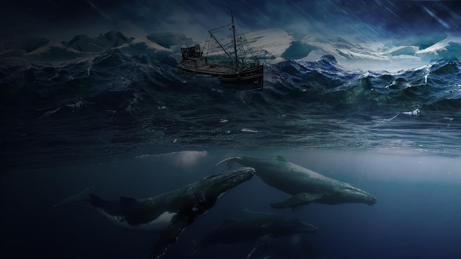 Hunting the Ice Whales