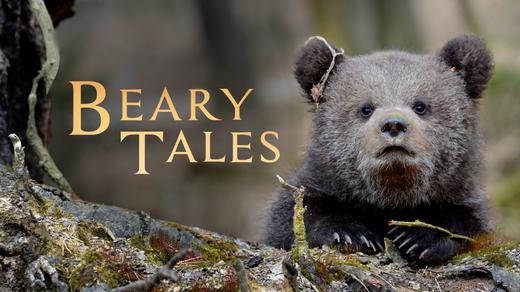 Beary Tales 4K