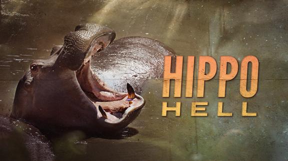Hippo Hell