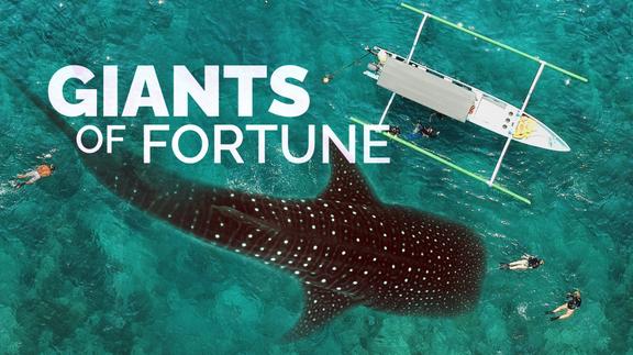 Giants of Fortune 4K