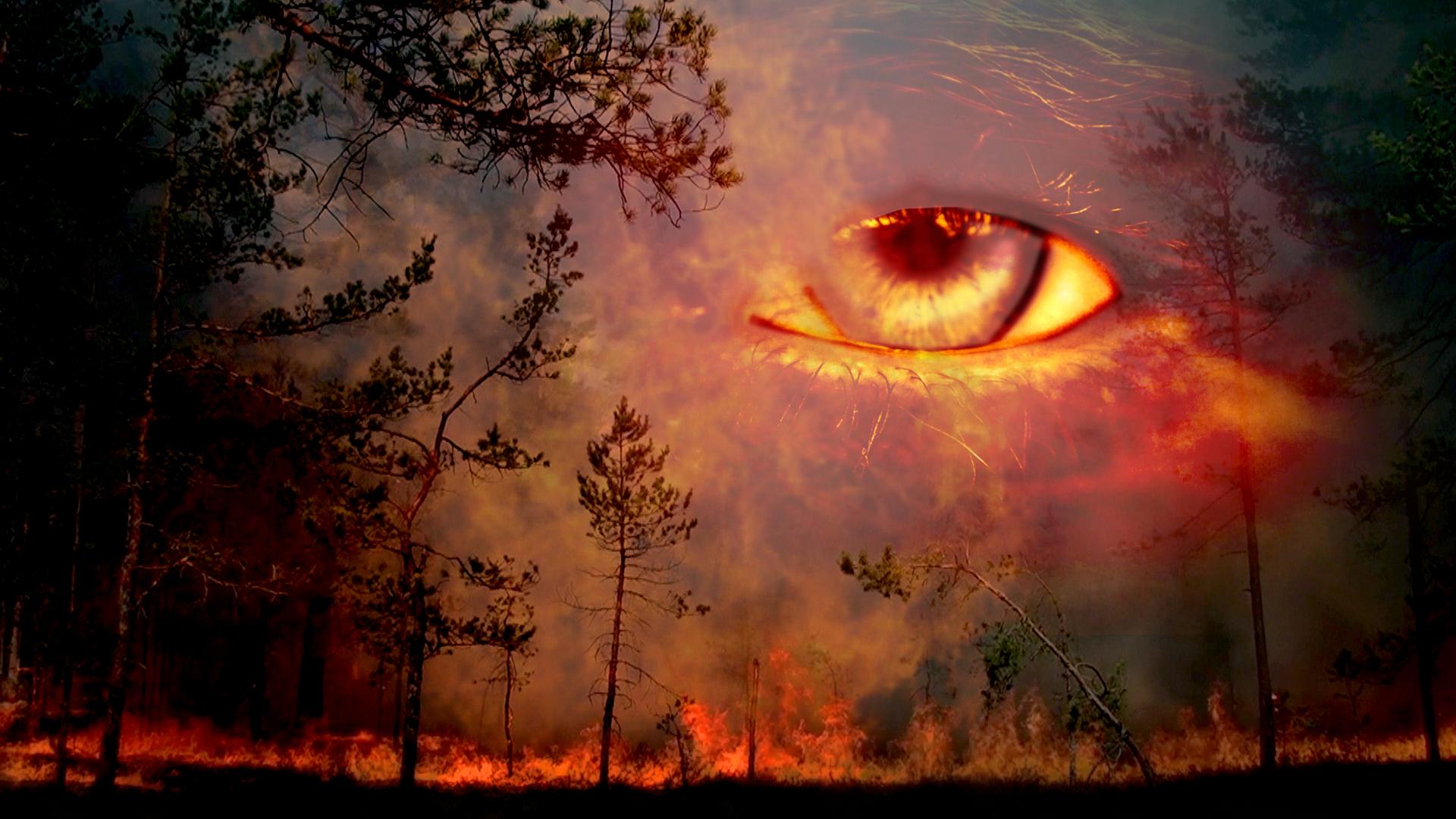 Firestorm '77: The True Story of the Honda Canyon Fire