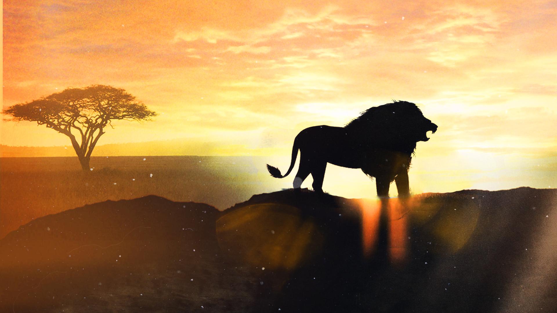 Masters of the Wild