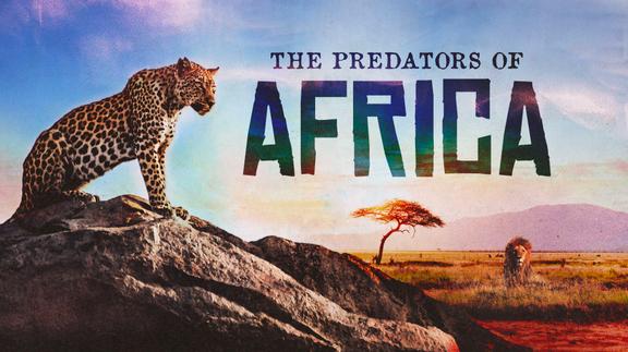 The Predators of Africa