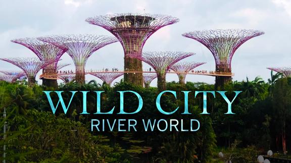 River World