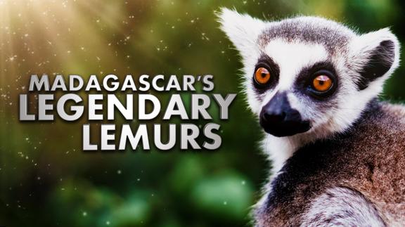 Madagascar's Legendary Lemurs