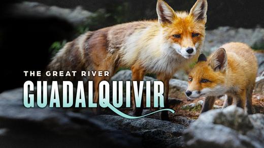 Guadalquivir: The Great River