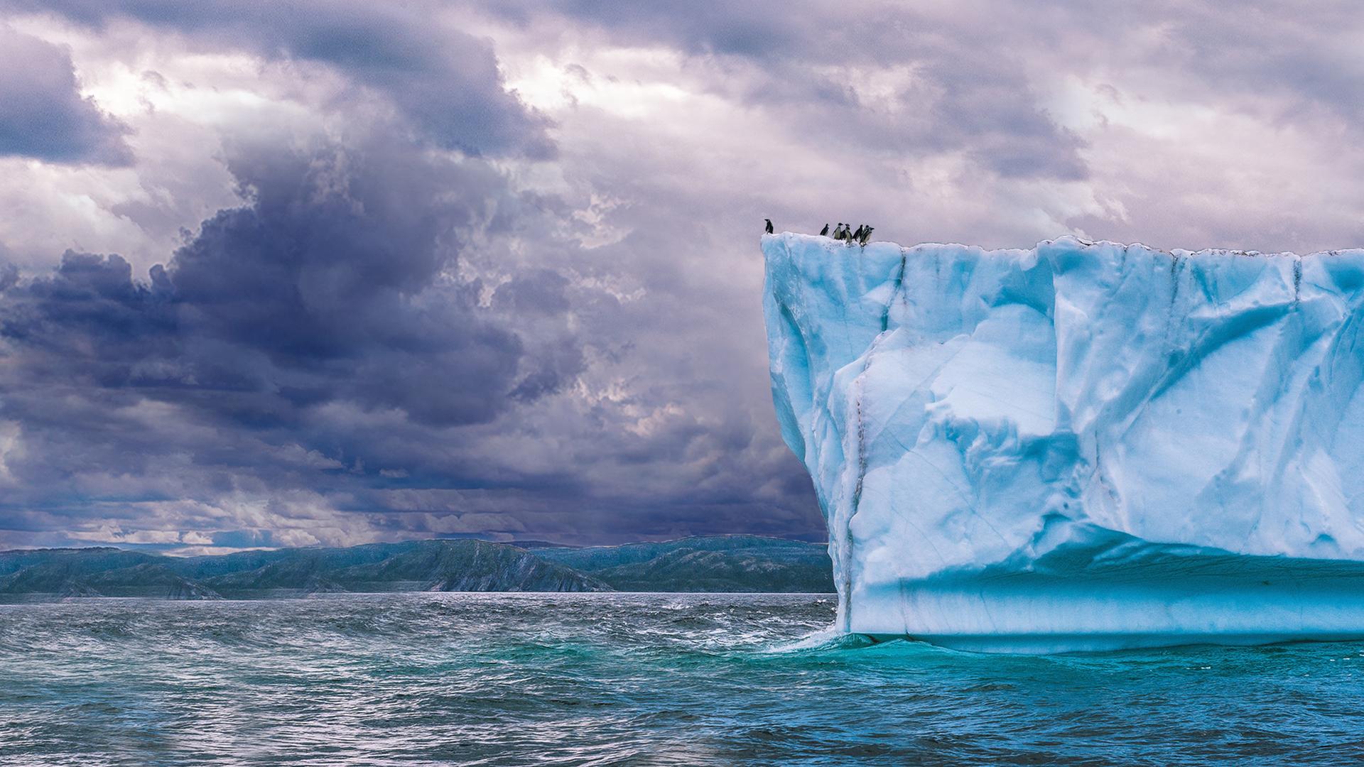 Antarctica