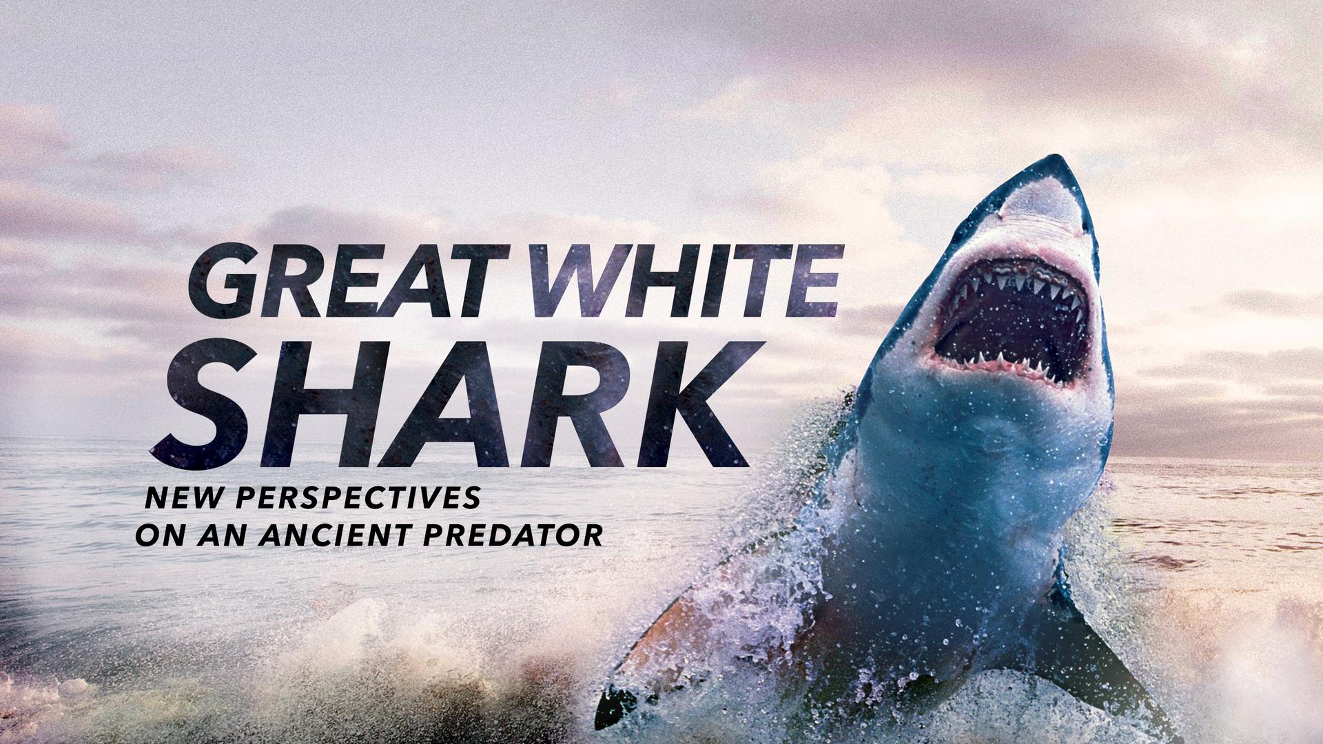 Great White Shark: New Perspectives on an Ancient Predator