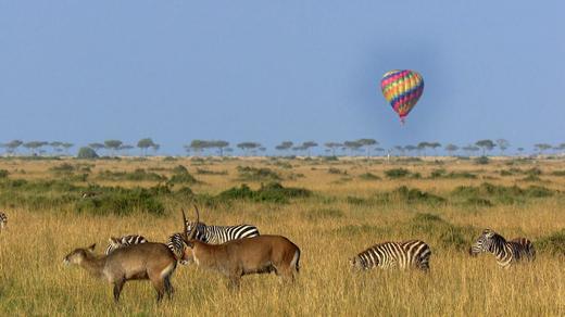 On Safari in Kenya’s Nature Paradise