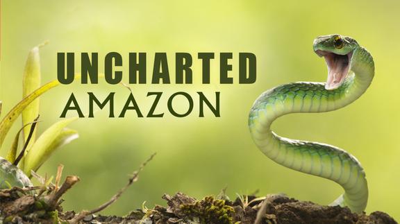 Uncharted Amazon
