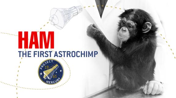 Ham, The First Astrochimp