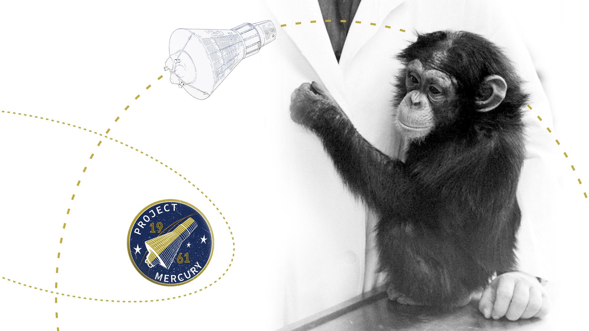 Ham, The First Astrochimp