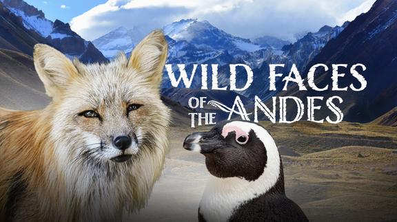 Wild Faces of the Andes