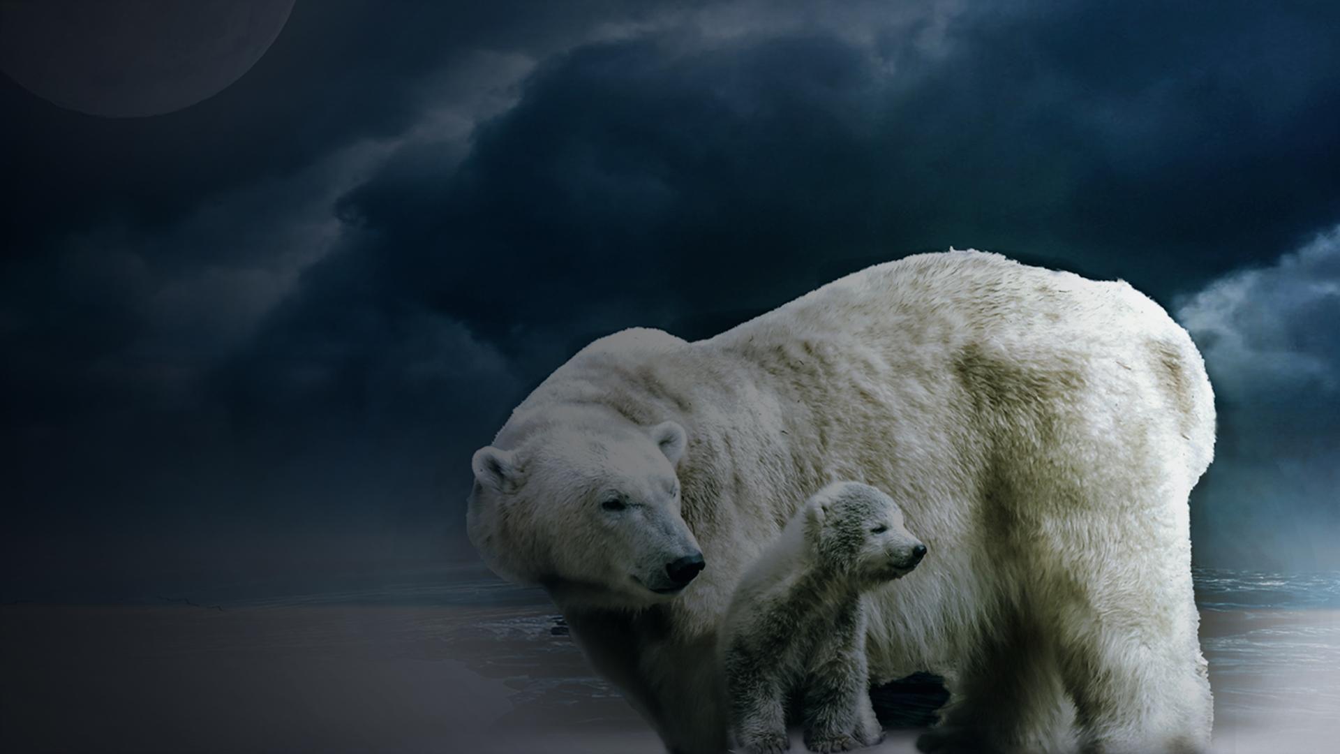 Siberia's Wild Year