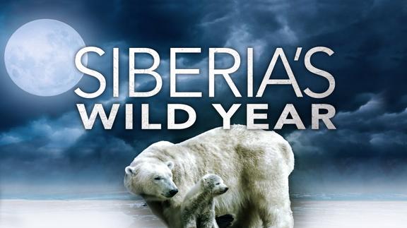 Siberia's Wild Year
