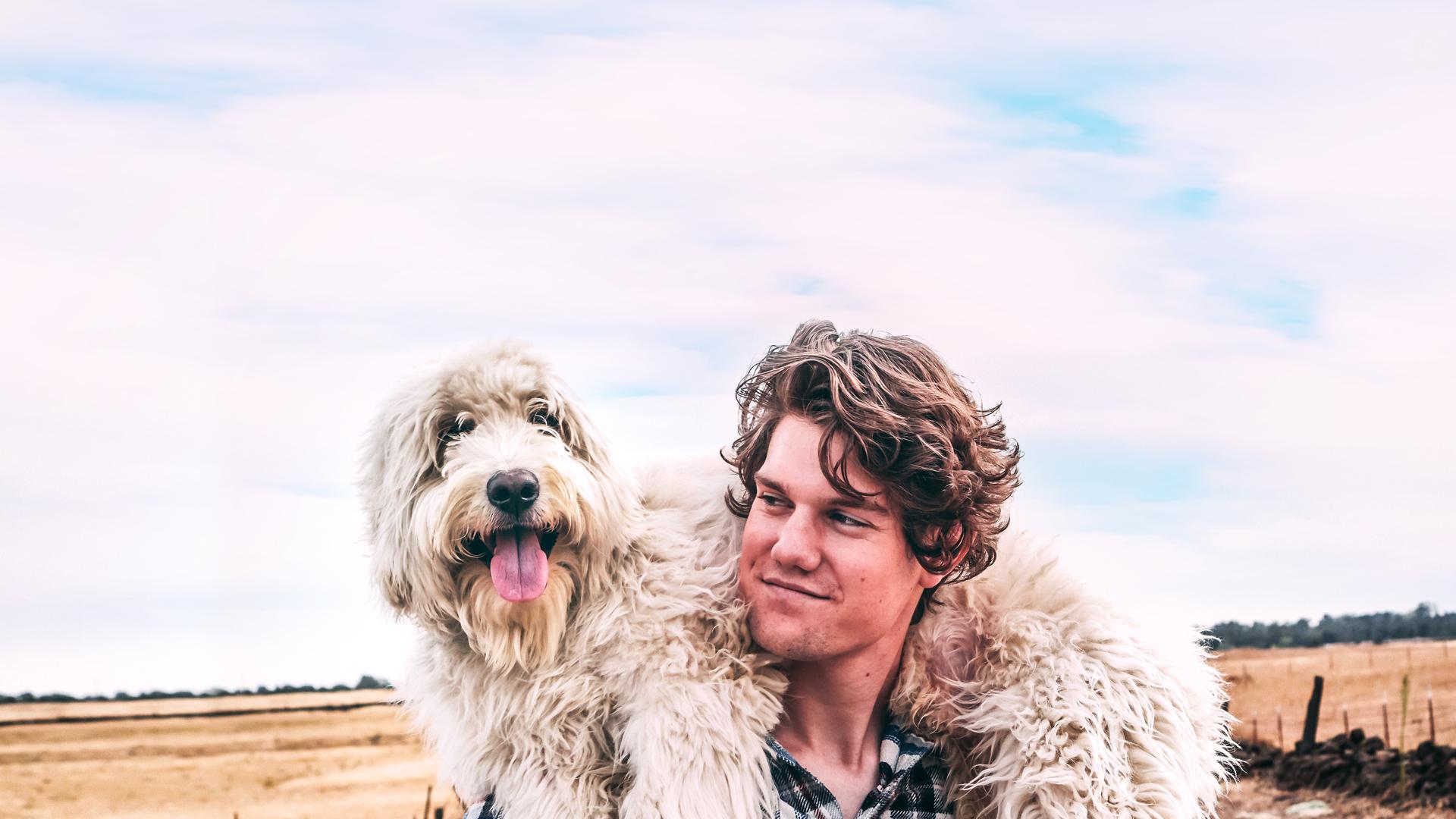 Dogs & Us