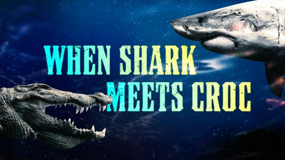 When Shark Meets Croc