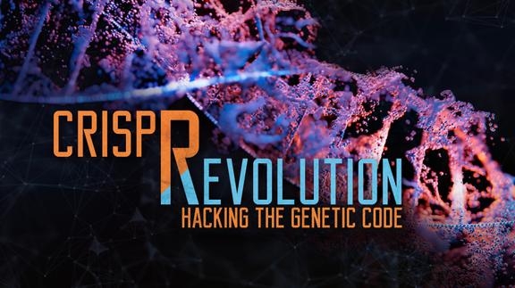 The CRISPR Revolution