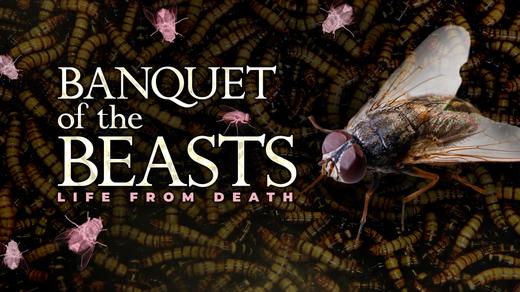 Banquet of the Beasts
